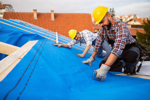 Best Metal Roofing Contractor  in Lebanon, IN